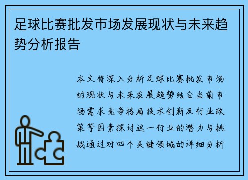 足球比赛批发市场发展现状与未来趋势分析报告