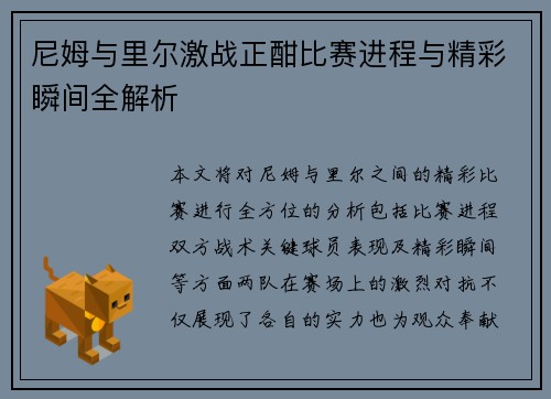 尼姆与里尔激战正酣比赛进程与精彩瞬间全解析