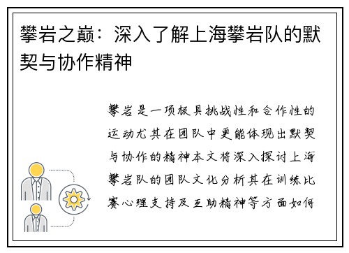 攀岩之巅：深入了解上海攀岩队的默契与协作精神